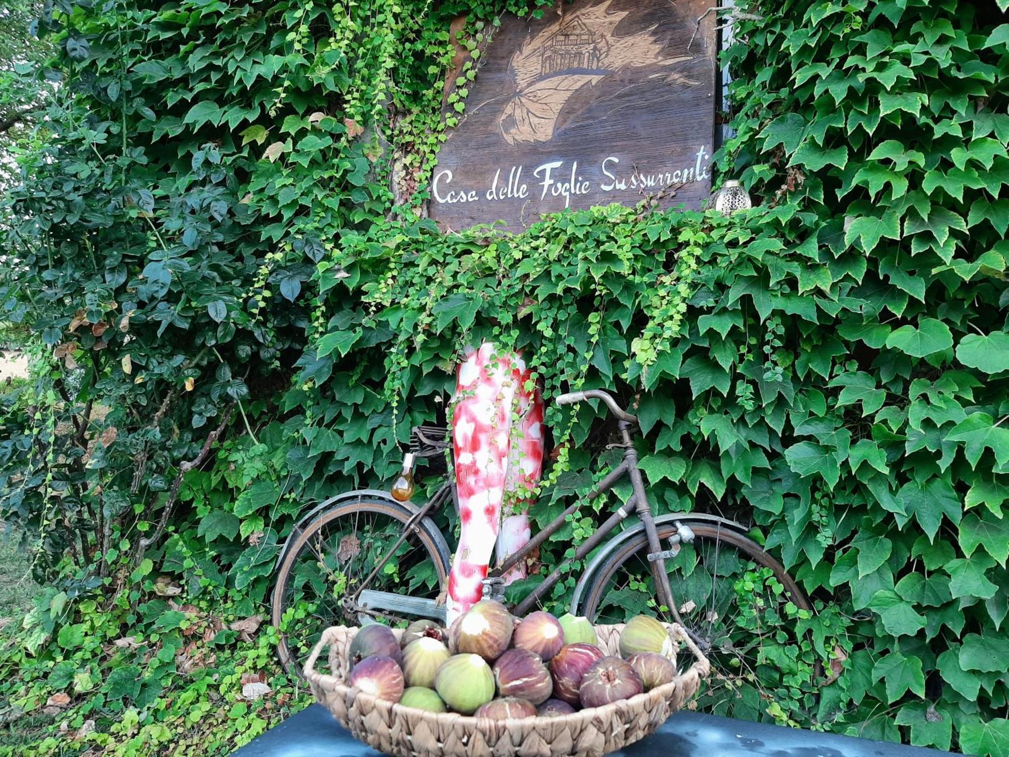 Casa Delle Foglie Sussurranti Villa Asti Eksteriør billede